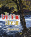 The Lynching Stream Book Cover